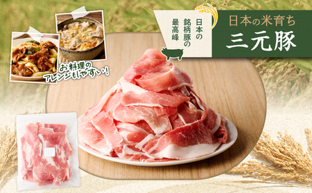 日本の米育ち平田牧場 三元豚切り落とし 500g×6パック（計3kg）　T036-006 肉 豚肉