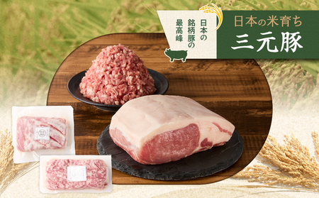 日本の米育ち平田牧場 三元豚ロースブロック（600g）・挽肉（300g）計900g　T036-009 肉 豚肉
