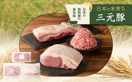 日本の米育ち平田牧場 三元豚ロースブロック（600g）・バラブロック（600g）・挽肉（300g）計1.5kg　T036-010 肉 豚肉