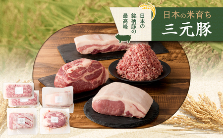 日本の米育ち平田牧場 三元豚ロースブロック・バラブロック・肩ロースブロック・挽肉　各600g（計2.4kg）　T036-011 肉 豚肉