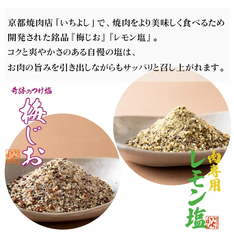 焼き肉専門店 梅じお レモン塩 スパイスセット 90g×合計4袋 お試し