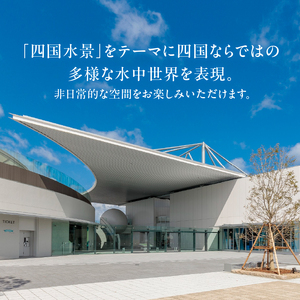 四国水族館ペアチケット