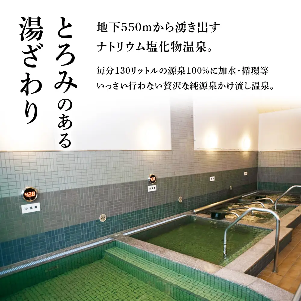 白老町 アヨロ温泉 入浴回数券 11回分 入浴チケット CF001