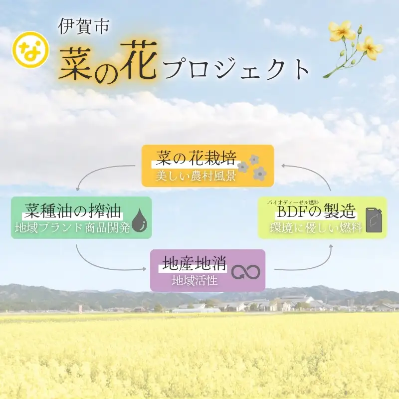 七の花セレクションAセット【oymd0002】