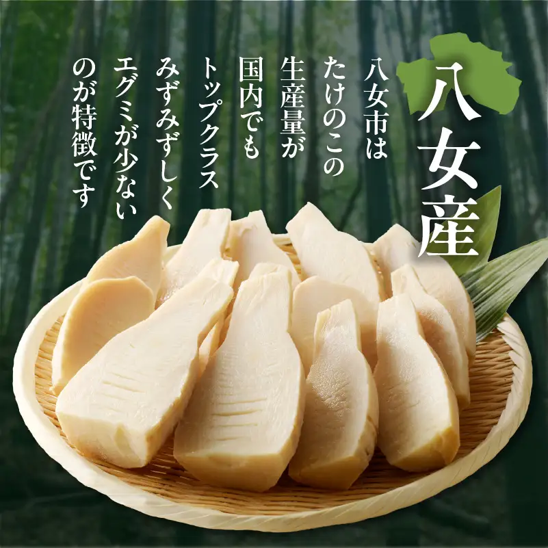 ＜道の駅たちばなオリジナル＞大釜湯がき筍 1kg（2027年4月～発送開始） たけのこ 筍 湯がく えぐみ クール便 真空 道の駅 福岡 八女 054-012