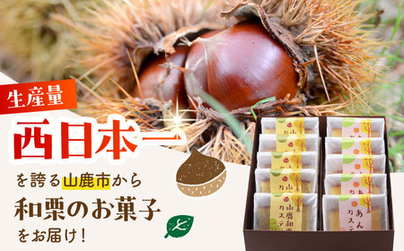 カステラセット 山鹿和栗 & あんず 計10個 【株式会社あんず】[ZBT003]