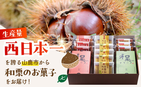 【6回定期便】和栗特選菓子セット 【株式会社あんず】[ZBT008]