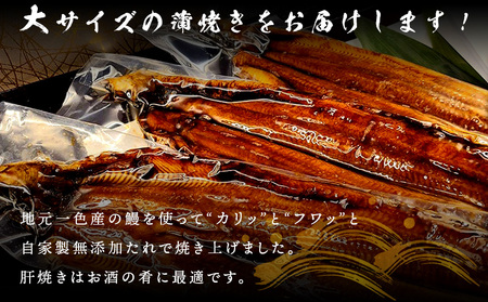 三河一色鰻(大サイズ)蒲焼き3尾+銀たら照焼き3切れセット・F026