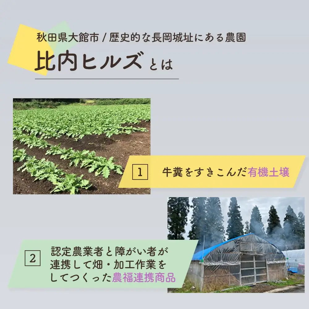 95P5703 比内ヒルズ熟成黒にんにく100g×5袋