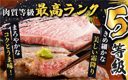 鹿児島黒牛 サーロイン ステーキ セット （計1.2kg） K127-011 肉 牛肉 冷凍