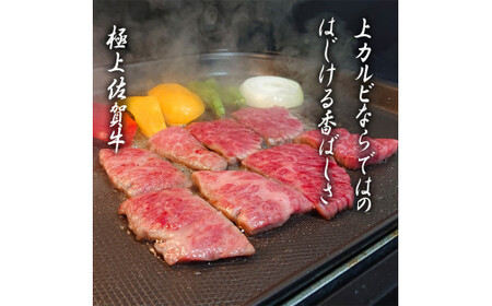 佐賀牛　上カルビセット500ｇ 161-J779