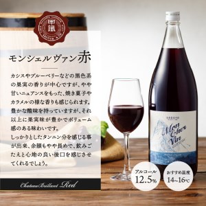 ワイン一升瓶（赤） K0207-A