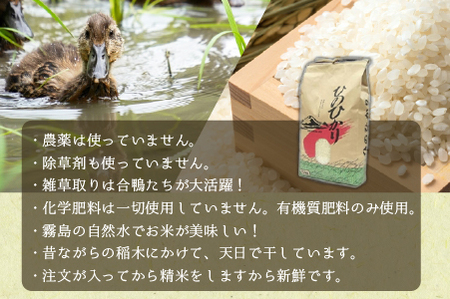 【安心安全！合鴨農法】あいがも米（精米済みヒノヒカリ）　5kg