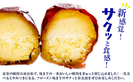 フローズン焼き芋 約200g×8袋セット 合計約1.6kg 有限会社七城町特産品センター《90日以内に出荷予定(土日祝除く)》熊本県 菊池市 冷凍焼きいも 焼き芋 からいも さつまいも冷凍