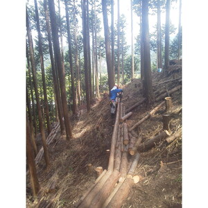 間伐材(スギ)割り箸「国際博記念」15膳セット