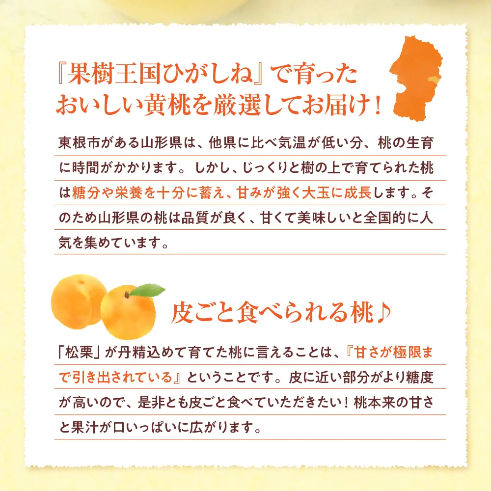 【2026年産】 黄桃 ( 硬め ) 品種おまかせ 秀品 2kg 黄桃