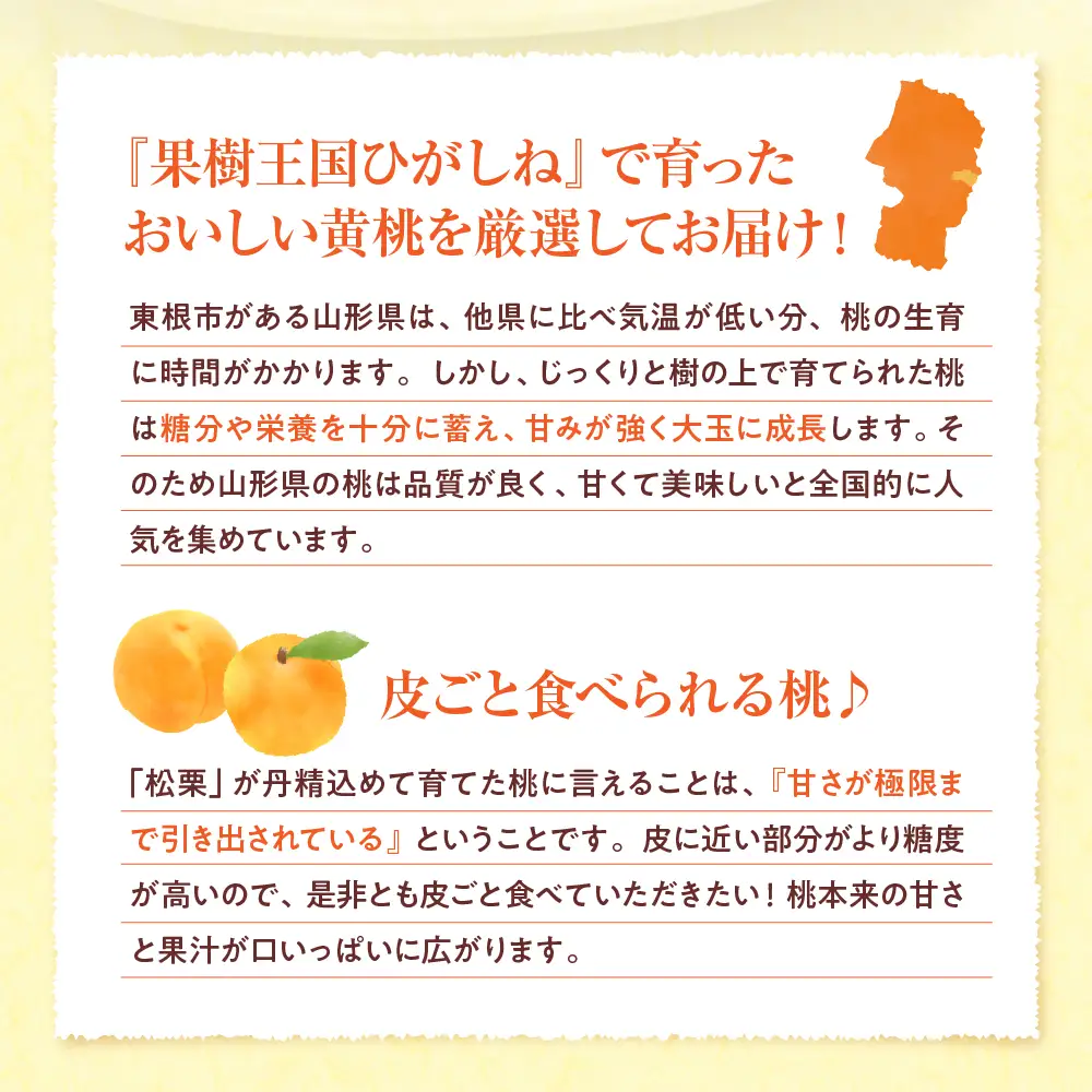 2026年産 黄桃 (やわらかめ) 品種おまかせ 秀品 2kg 黄桃