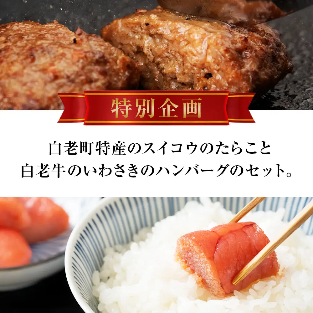 北海道 たらこと白老牛ハンバーグセット AQ044