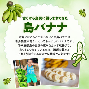 【先行受付】島バナナ農家が本気で作る完全自然栽培の島バナナドライフルーツ30g×5袋（7月中旬～10月中旬頃発送） W029-012u バナナ 加工品