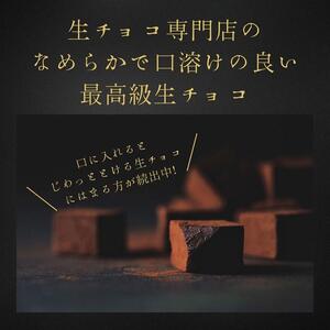 大容量 訳あり 生チョコレート 500g プレーン