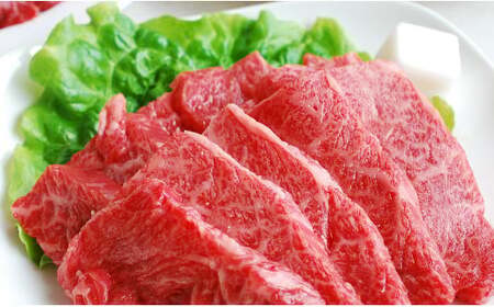 熊本県産GI認証_くまもとあか牛　焼肉用500g【価格改定】