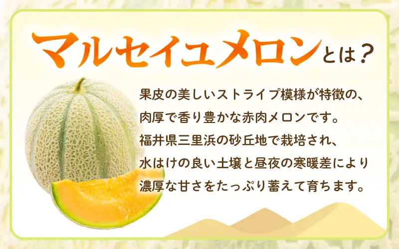 【先行予約】【数量限定】 マルセイユメロン 3Lサイズ以上 × 2玉 【2026年6月上旬より順次発送】 [A-16518]