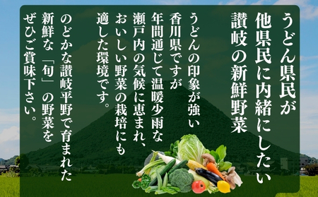 のどかな讃岐平野で育てた 旬の野菜 詰め合わせセット 今が旬 健康 野菜ボックス ヘルシー食材 トマト サツマイモ 新鮮 とれたて 季節 自家栽培 珍しい 美味しい たっぷり 