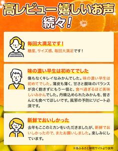 完熟ゆら早生みかん 3kg ※2026年11月上旬頃から11月中旬頃に順次発送予定 【kzmn004-kan-3】