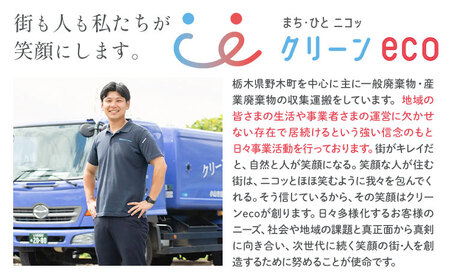 空き家 粗大ゴミ 片付け ハウスクリーニング  チケット【30枚セット】1000円×30枚 計30,000円相当分 有限会社クリーンeco《30日以内に出荷予定(土日祝除く)》  野木町での空き家片付け、遺品整理、不用品回収で使えるチケット