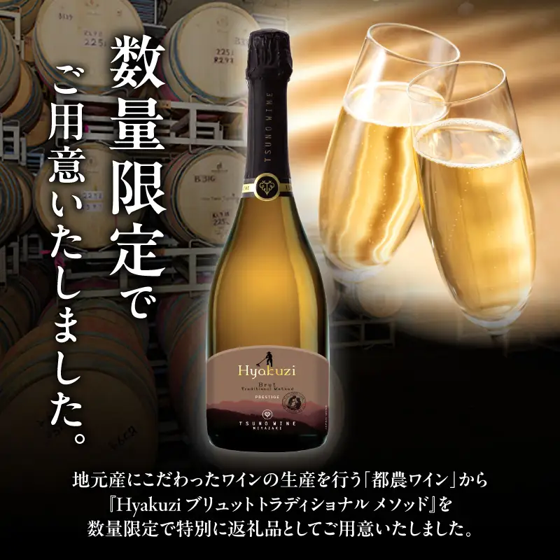 【数量限定】Hyakuzi ブリュット トラディショナル メソッド(計1本) 酒 飲料 アルコール 国産_T014-0085