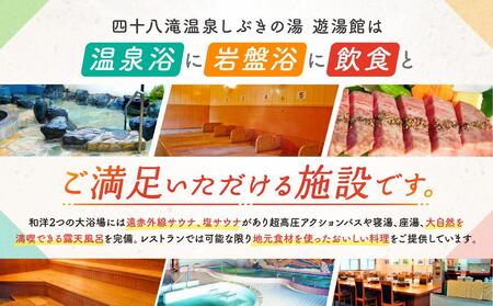 入浴・食事・リラクゼーション・岩盤浴・キャンプ(バンガロー)共通利用券【四十八滝温泉しぶきの湯＋キャンプ場】飛騨国府観光株式会社 EL001