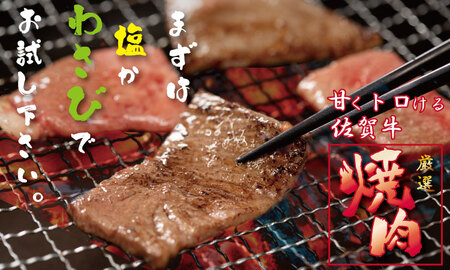 佐賀牛 焼肉 400g B120-031 焼肉 牛肉 厳選部位