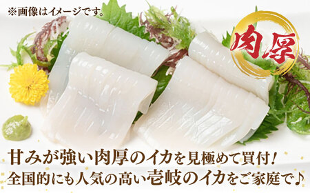 刺身用 剣先イカ 約2kg（急速冷凍）《壱岐市》【魚助】 イカ いか 剣先いか ケンサキイカ刺し身 鮮魚 海鮮 [JFX001]