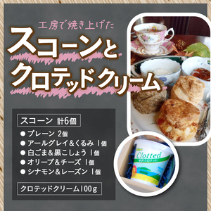 クリームティーセット（マヴィ特製　スコーンとティージャム、クロテッドクリームのセット）　クリーム ティーセット スイーツ お菓子 スコーン 6個入り ティージャム アールグレイ 200g 自家製 クロテッドクリーム 100g 紅茶 フレーバー紅茶 パトリー 50g缶入り 詰め合わせ セット ギフト 洋菓子 バレンタイン チョコ以外 ホワイトデー お返し お土産 [h263]