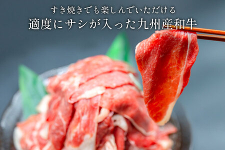 牛肉 訳あり 日本ハム 九州産 和牛 切り落とし 500g 2p 計 1kg [日本ハムマーケティング 宮崎県 日向市 452061137]