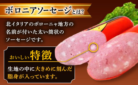 【3回定期便】宮地ハムのロングセラー ボロニアソーセージ 100g×6本 /宮地ハム [UBM011] ソーセージ