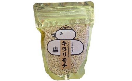 宇治町産 もち麦商品詰め合わせA お米 加工食品 飲料類 お茶 