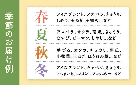 シュシュの農産物直売所から直送 野菜・果物の詰合せ / 野菜 やさい 果物 くだもの フルーツ ふるーつ 産地直送 / 大村市 / おおむら夢ファームシュシュ[ACAA032]