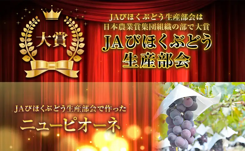 ニュー ピオーネ 約2kg 3～5房 ぶどう 葡萄 フルーツ 岡山 高梁市産 2026年 先行予約 果物類 果物 