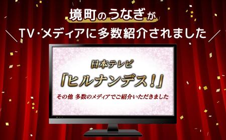 【定期便/6か月連続お届け】 国産 上うなぎ 蒲焼き 4尾 700g以上 うなぎ K2352