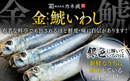 いわし 丸干し 48尾 (8尾×6パック) 干物 冷凍 小分け 愛知県 南知多町 ご飯 ごはん おかず おつまみ 魚 イワシ 国産