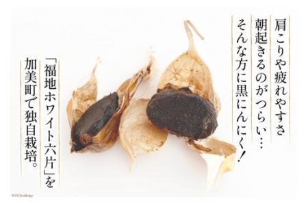 黒にんにく 200g [グラスト 宮城県 加美町 44581492]国産 にんにく ニンニク 黒ニンニク くろにんにく 熟成 お試し