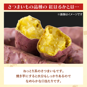 茨城県産 紅はるか 訳あり サイズミックス　約5kg｜訳あり わけあり 訳アリ さつまいも サツマイモ さつま芋 紅はるか べにはるか 芋 いも 茨城県産 行方市(FU-1)