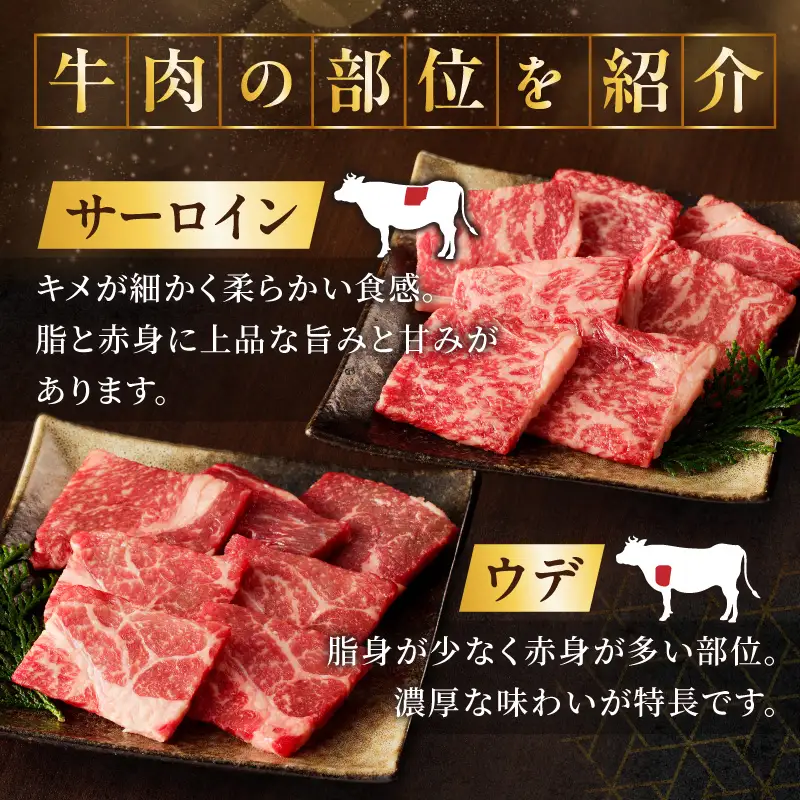 生産者応援≪訳あり≫黒毛和牛(経産牛)6種焼肉セット(合計300g) 肉 牛 牛肉 おかず 国産_T030-1195