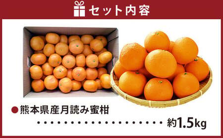 【2026年11月下旬発送開始】にしだ果樹園の熊本県産月読み蜜柑 約1.5kg
