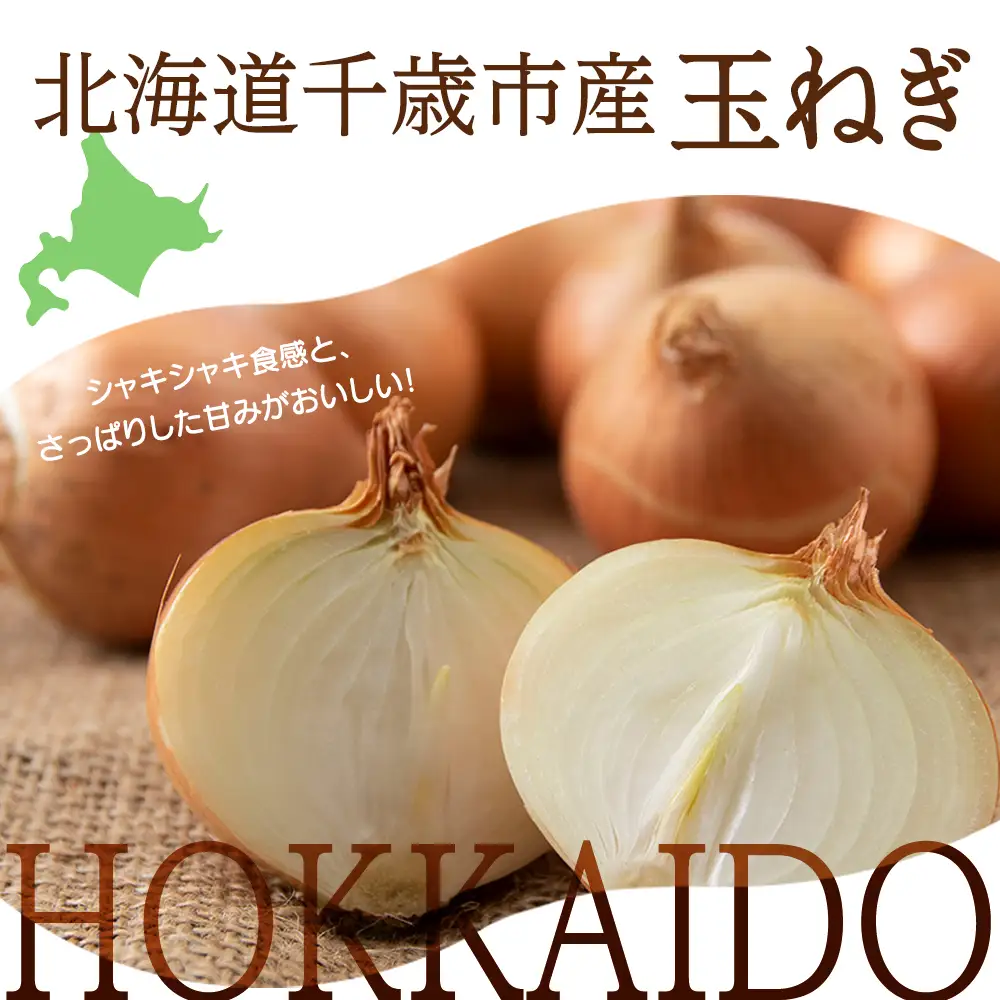 【先行予約】玉ねぎ 10kg LLサイズ 北海道 千歳市産 【假屋フードブリッジ】