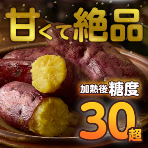 【先行予約】富士美芋 生1.7kg さつまいも 甘い 蜜がたっぷり 加熱後糖度30以上 絶品 栄養豊富 期間限定 富士市 やわらか [sf070-001]