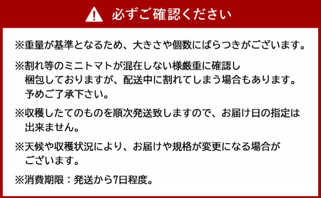[先行受付/2026年産][栽培期間中 農薬・化学肥料不使用] 北海道 仁木町産 ミニトマト エコスイート 1.2kg×8箱 サイズ混載 トマト野菜 やさい  [Farm Watanabe]