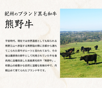 熊野牛 A4以上 霜降り 赤身 こま切れ 約500g 【入金後30日以内に発送予定】【Z91053-uot747】