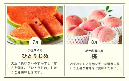 【6・8・10・12月 全4回】和歌山産 旬のフルーツ お楽しみ 定期便 【魚鶴商店】【UT108w】【Z91096-tkb】